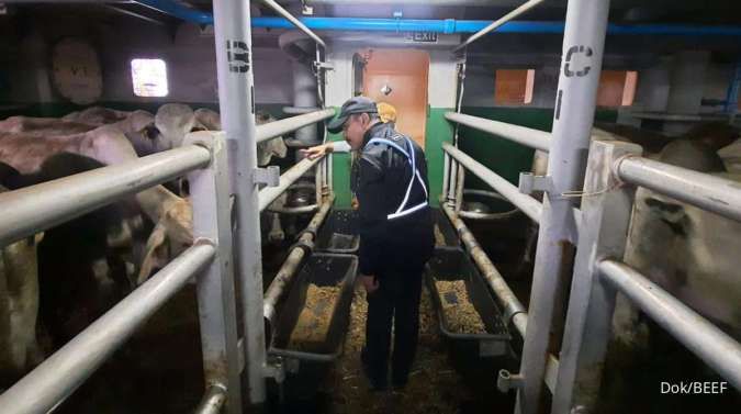 Sudah Impor 25.000 Sapi, Begini Update Program Swasembada Susu dan Daging Prabowo