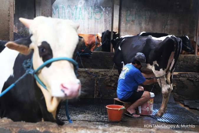 Dorong Swasembada Pangan, Kementan Pastikan Inpres P2SDN Sudah Dirancang