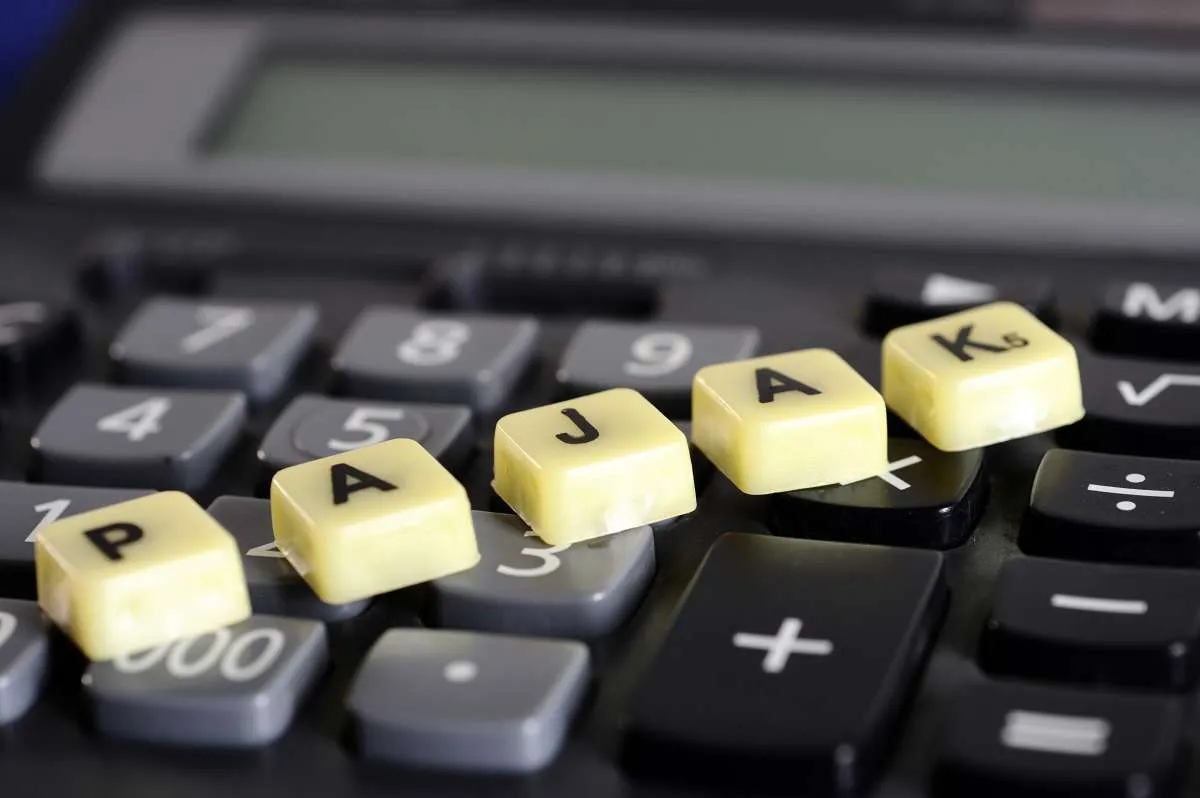 Peningkatan Investasi Tak Sejalan dengan Pertumbuhan Tax Ratio Indonesia