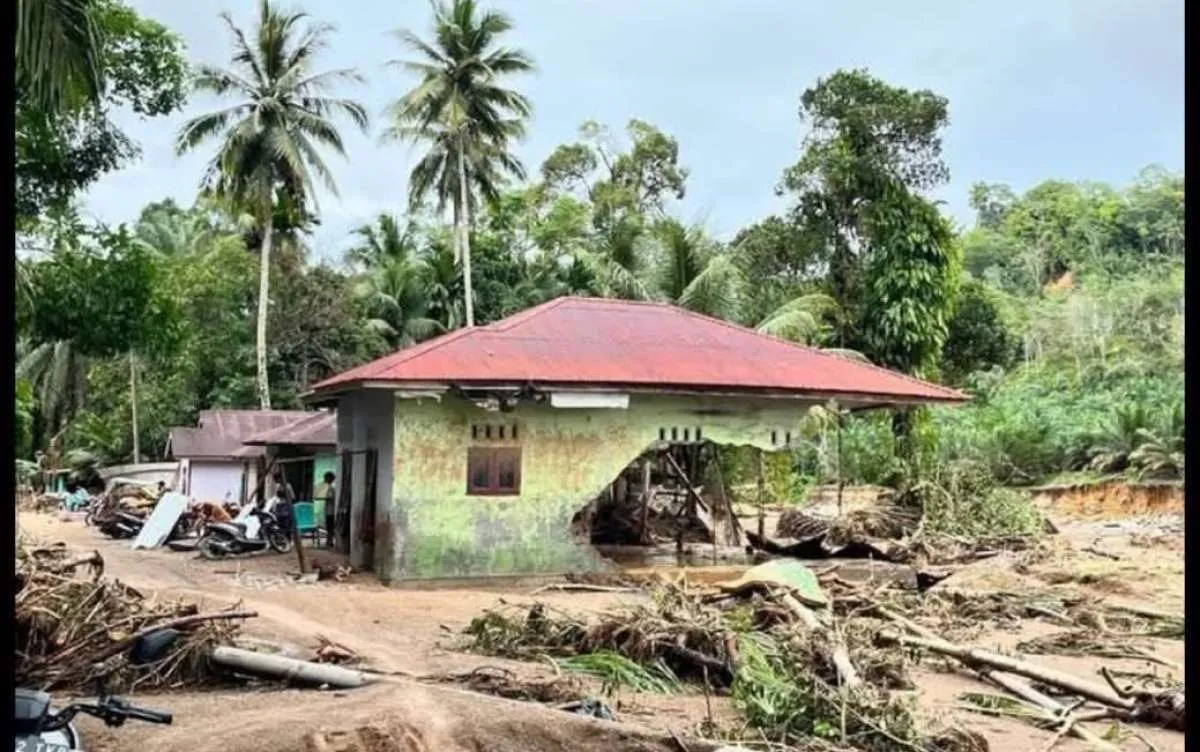 Celios: Moratorium Sawit-Tambang di Sumatera Penting Cegah Rugi Triliunan