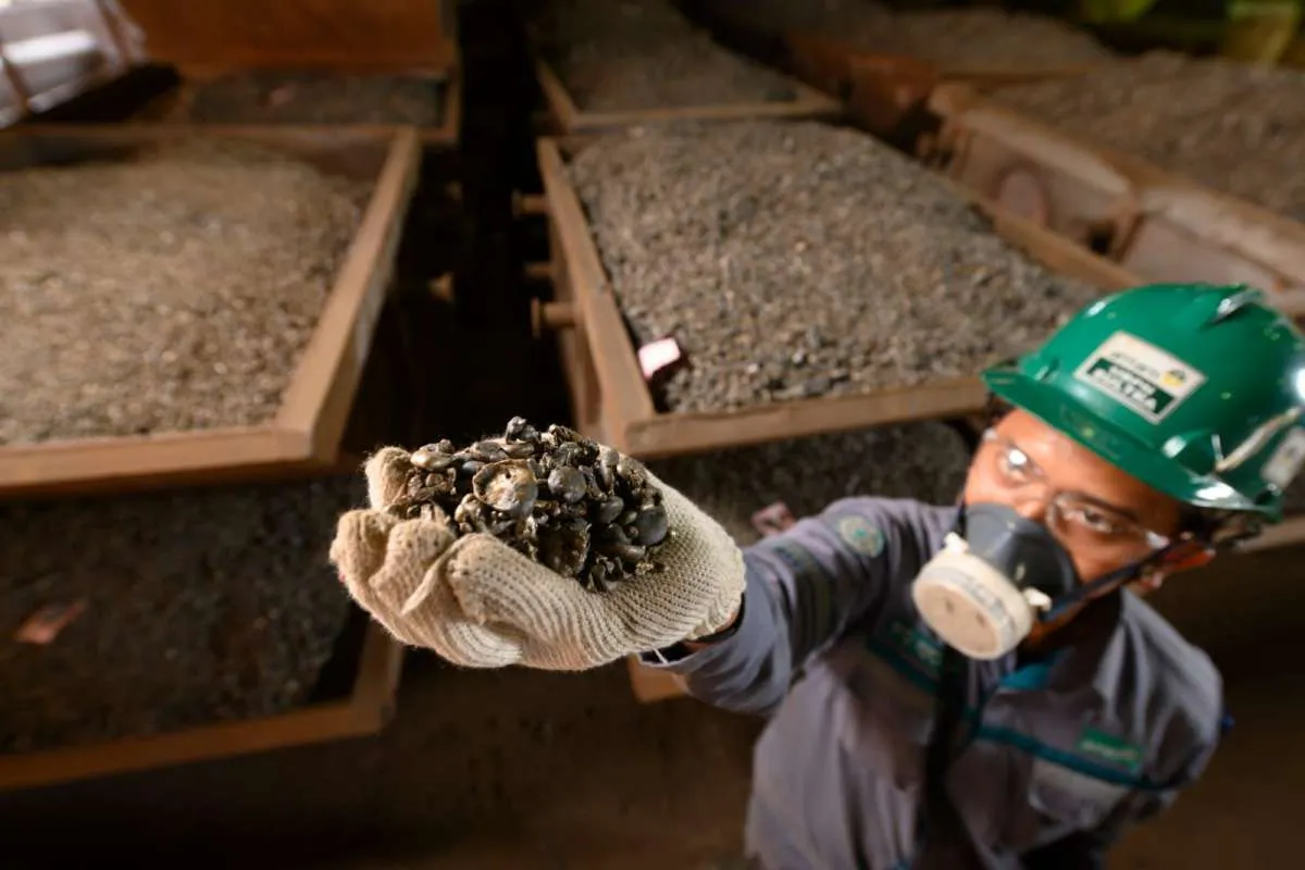 Harga Saham Aneka Tambang (ANTM) Masuk Fase Koreksi, Ini Penyebabnya