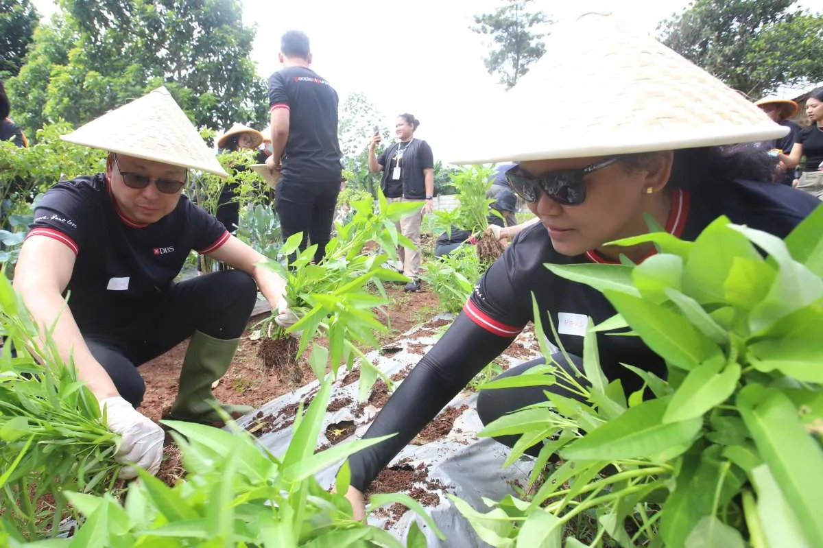 Anggaran Ketahanan Pangan Prabowo Naik 45,5% Jadi Rp 210,4 Triliun di 2026