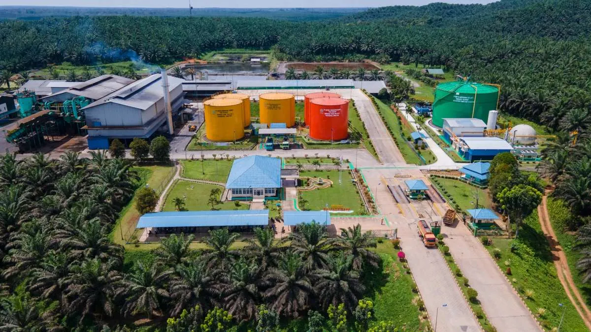 Sawit Sumbermas Sarana (SSMS) Kantongi Kredit Sindikasi Sebesar Rp 5,2 Triliun