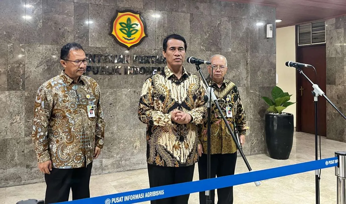 Tak Hanya Sabang, Mentan Kembali Temukan Beras Impor Ilegal 40 Ton di Batam