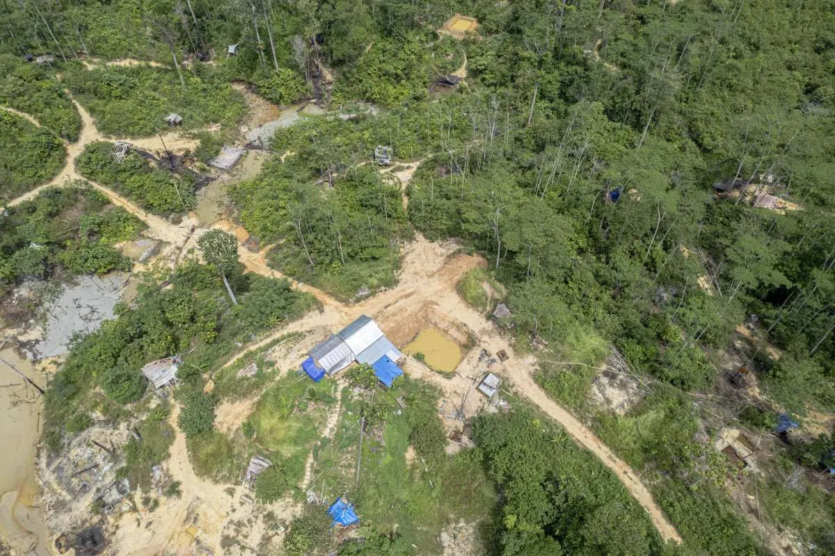 Kementerian Kehutanan Menyegel Lima Lokasi Pembalakan Liar di Sumatra