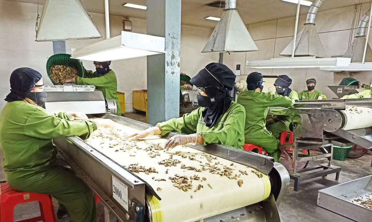 Sido Muncul (SIDO) Optimis Capai Target Pertumbuhan Penjualan 5% pada 2025