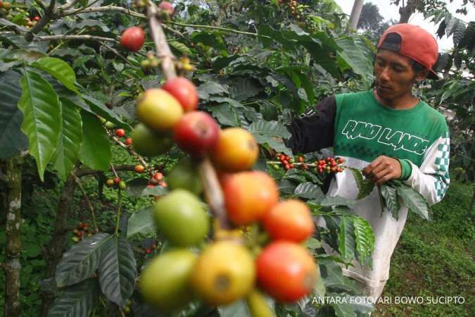 Jalan Panjang Perjuangan Diplomasi RI Melawan UU Anti Deforestasi Uni Eropa