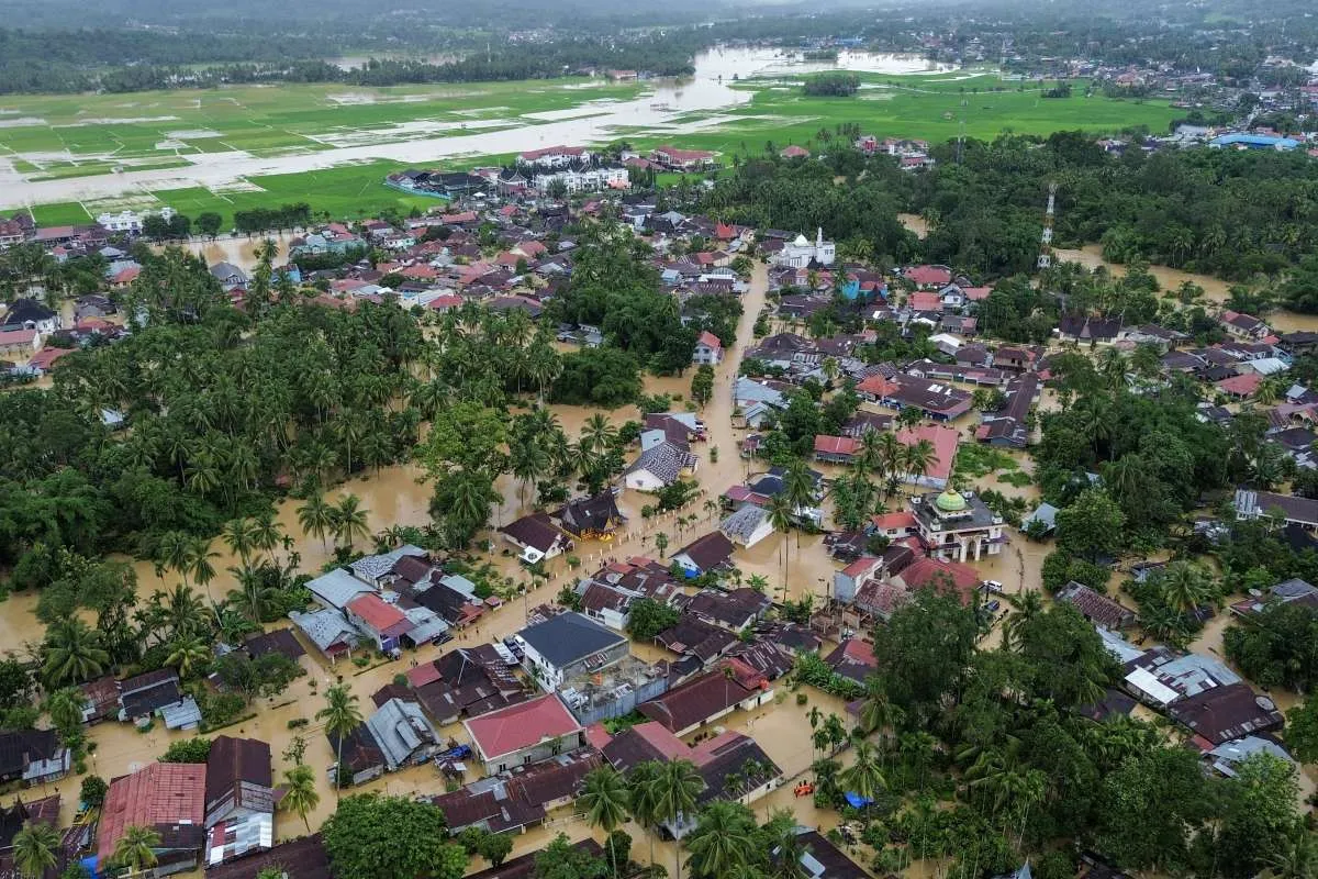 Banjir Rusak Ribuan Hektare Sawah, Kementan Siapkan Bantuan Benih dan Asuransi Petani