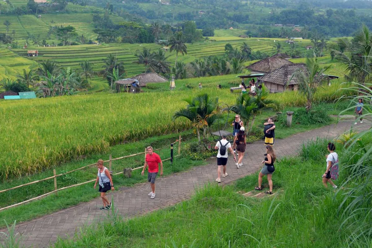 Aturan Pencairan Baru Dana Desa Tuai Sorotan, Dinilai Ganggu Fiskal Desa