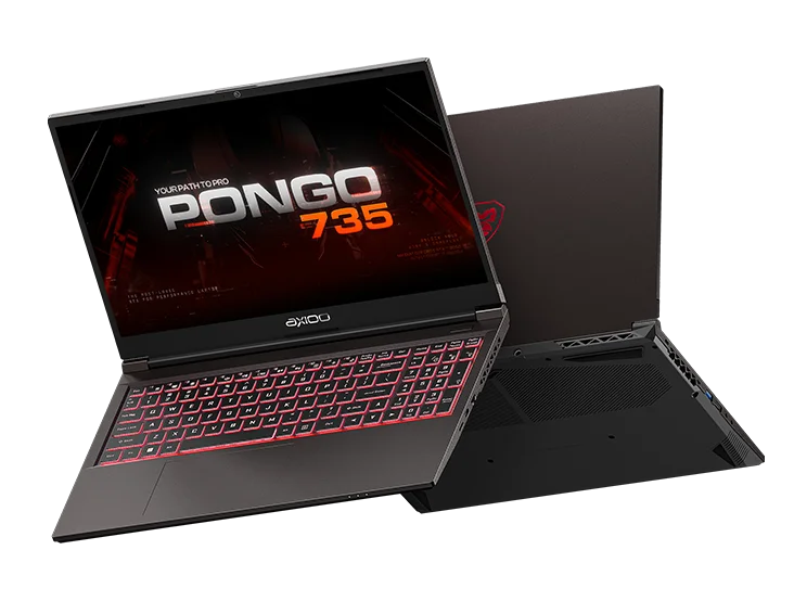 Pongo 735